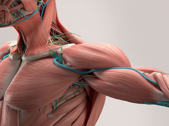 chiropractic care for acromioclavicular pain, el paso, tx.