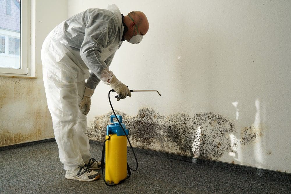 Cleaning-mold-in-the-house